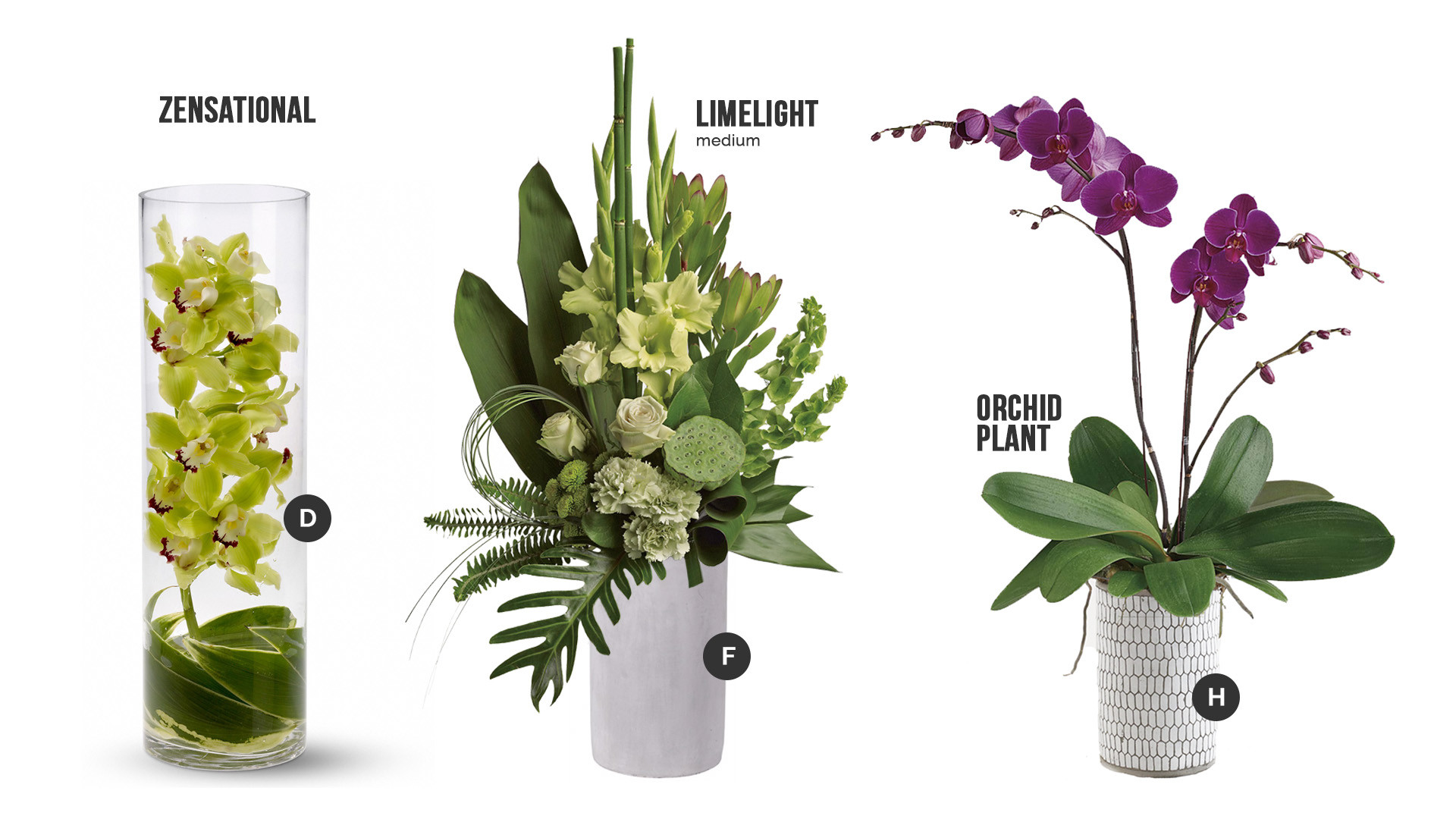 Orchids & Zen Centerpiece Ideas » Botanica Columbus Wedding Florist