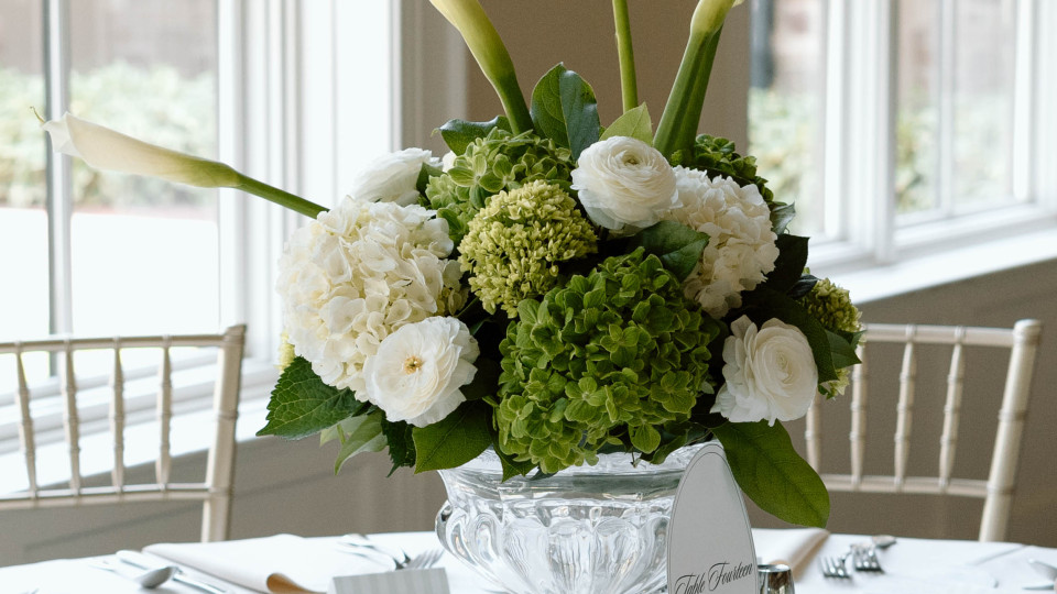 Classic Elegance