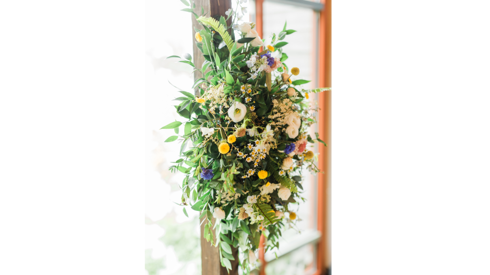 Colorful blooms
