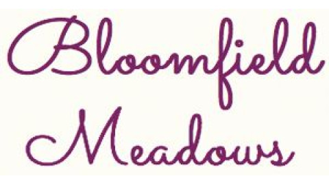 The Bloomfield Meadows