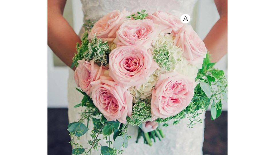 Classic Pink Garden Roses